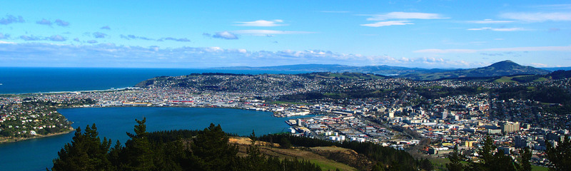 Why Invest in Dunedin Property?